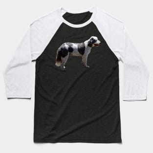 Portuguese Water Dog Baseball T-Shirt